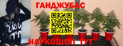 прущий лед Камень-на-Оби
