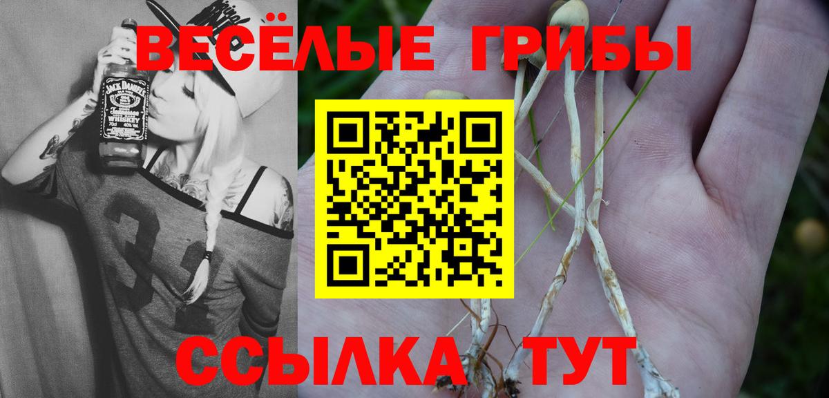 Псилоцибиновые грибы Psilocybine cubensis  Вход с VPN  Кувандык 